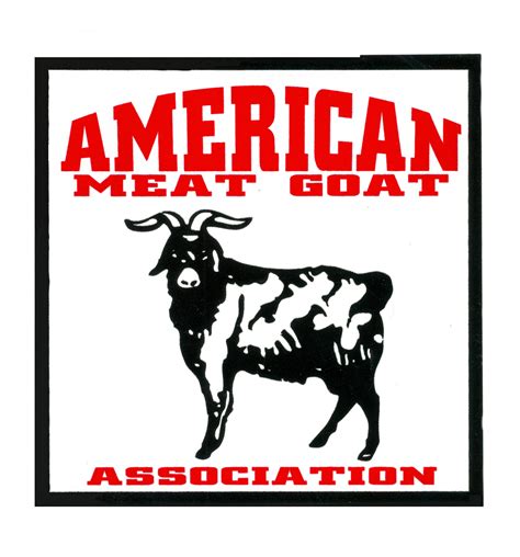 american meat goat association